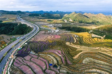 花溪區有哪些地好玩——探索其風土人情與自然美景